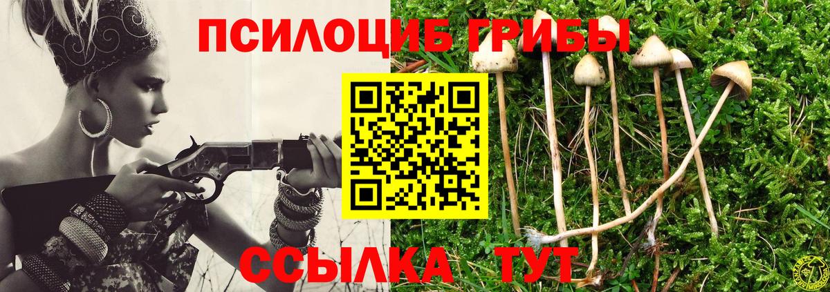Галлюциногенные грибы прущие грибы Архангельск